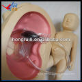 Newly Advanced Difficult Childbirth Simulator birth demonstration model